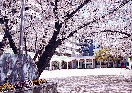 幼稚園・保育園