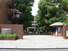 大学