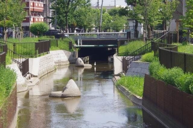 公園