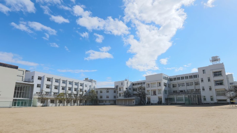 高校